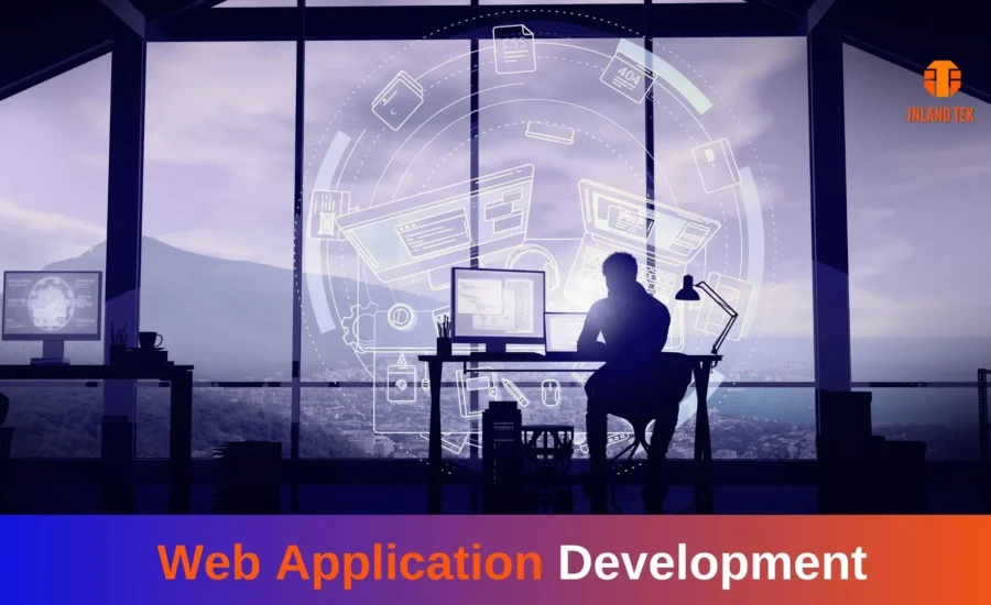 custom web application development